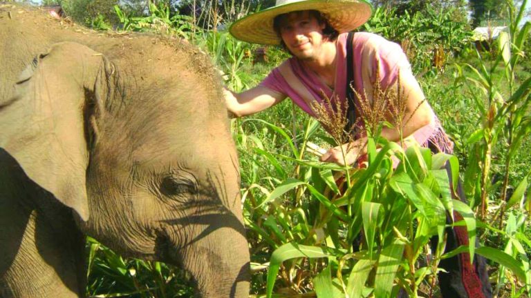 Reserva de elefantes