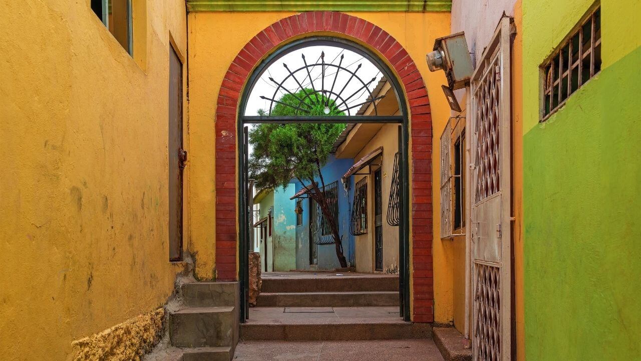 Parque de las Iguanas