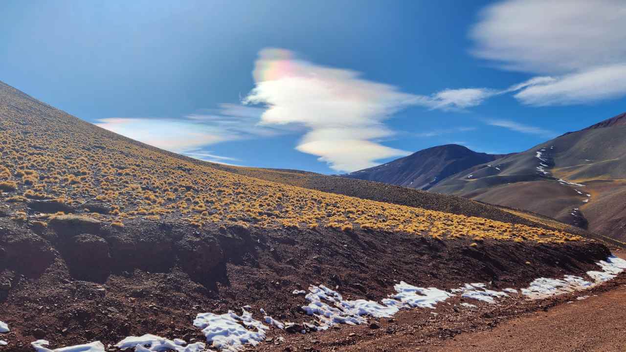 Flamencos en Laguna Brava
