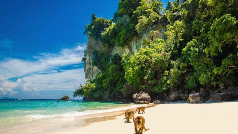 Monkey Beach, Islas Phi Phi