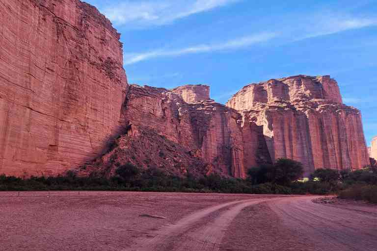 Paisaje paleontológico